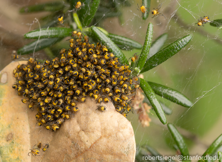 eleanor pardee park 2024